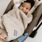 Winter Car Seat Swaddle/Blanket
